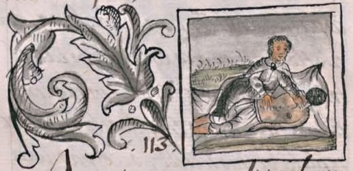 Florentino XI 163v, acocoxihuitl