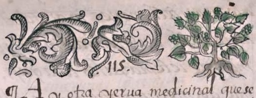 Florentino XI 164v, tlatlacotic