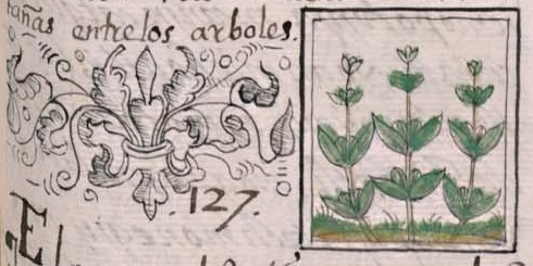 Florentino XI 169r, tlatlapaltic