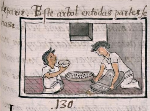 Florentino XI 171r, chia
