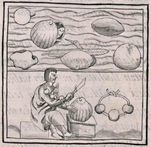 Florentino XI 211v, tapachtli, tapalcayotl, yoyoli, atlan, tehuilocozcatl, chachacuachtic, quetzalatzcalli, huitzitzilatzcalli