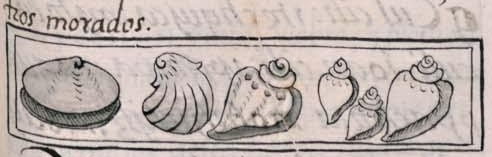 Florentino XI 212r, atzcalli, ayopalli, tapachtli, tlapaltecciztli, tecciztli