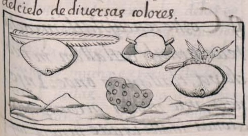 Florentino XI 212r, quetzalatzcalli, chalchiuhatzcalli, huitzitzilatzcalli, chachacuachtic