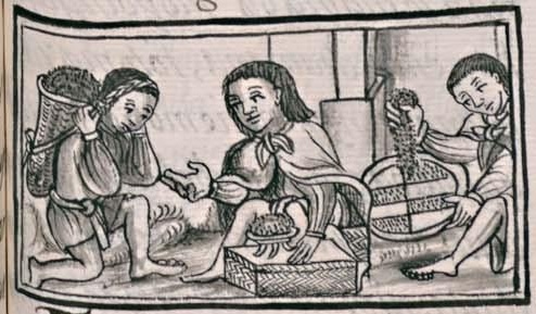 Florentino XI 216r, tezcatetlilli