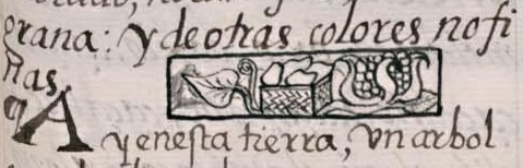 Florentino XI 218r, achiyotetl