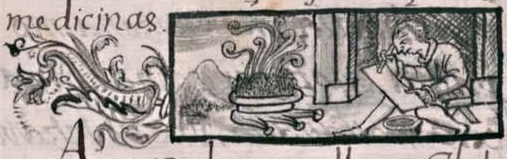 Florentino XI 219v, tlilli