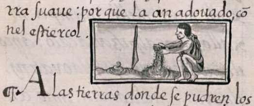 Florentino XI 227v, tlalahuiyac