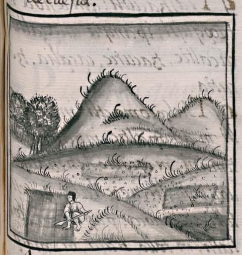 Florentino XI 228r, tepetlalli