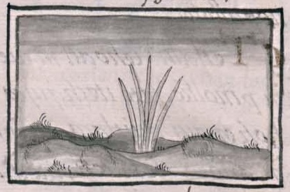 Florentino XI 228v, toltlalli, tlalcocomoctli