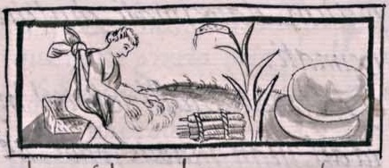 Florentino XI 231v, comallalli
