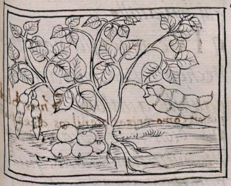 Florentino XI 251r, chian