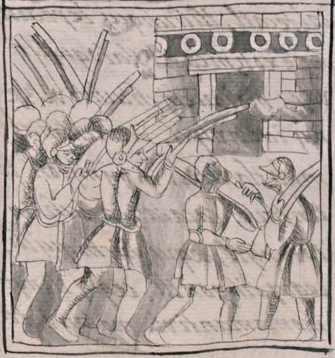 Florentino XII 23r