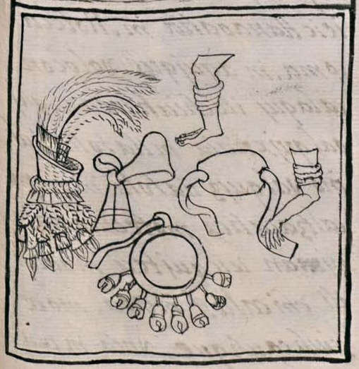 Florentino XII 29r