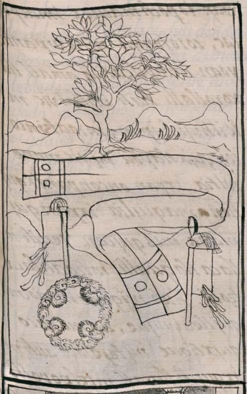 Florentino XII 31r