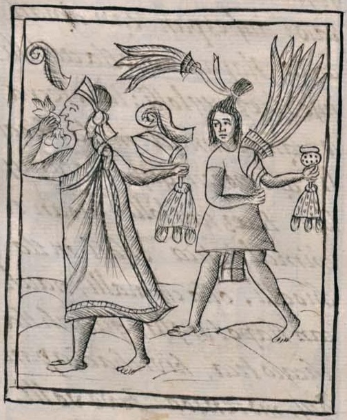 Florentino XII 31v