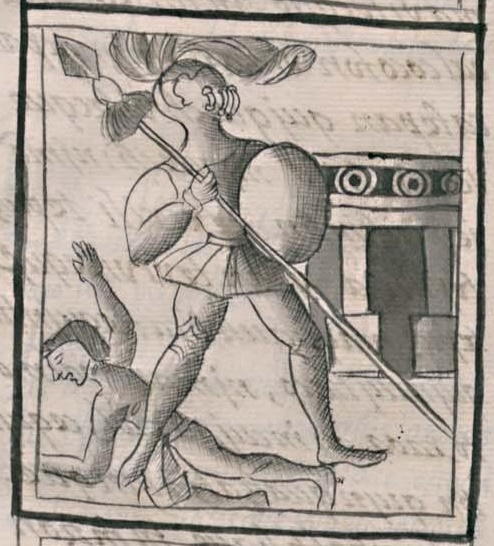 Florentino XII 33v
