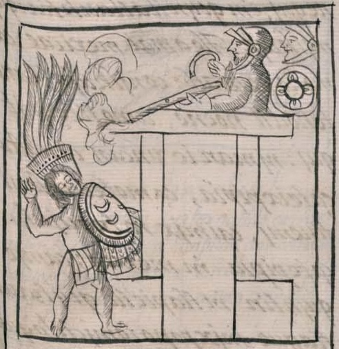 Florentino XII 36r