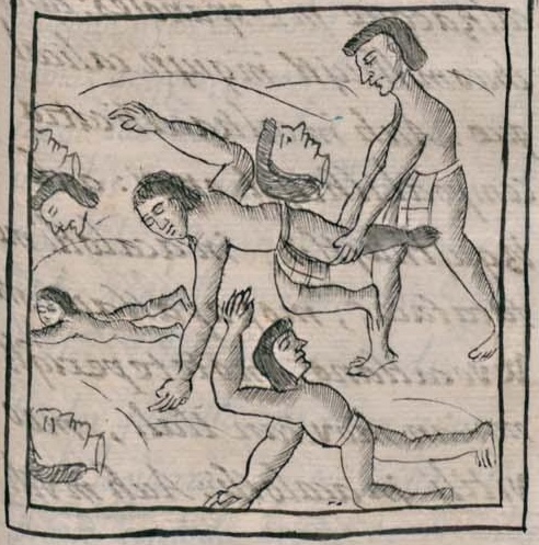 Florentino XII 36r
