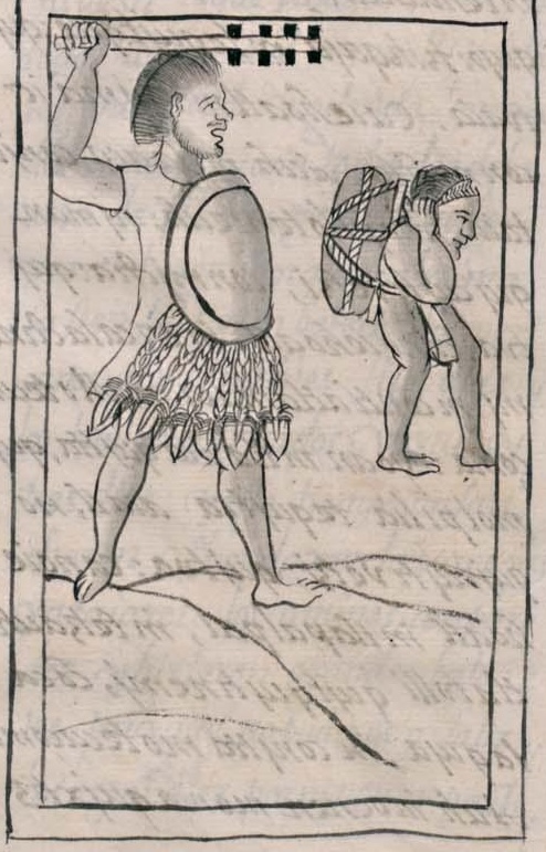 Florentino XII 36v