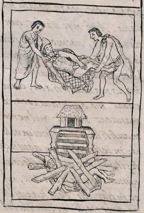 Florentino XII 40v