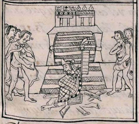Florentino XII 41r