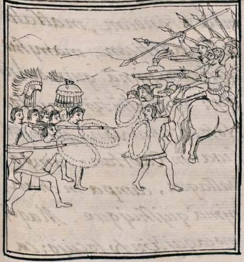 Florentino XII 43r