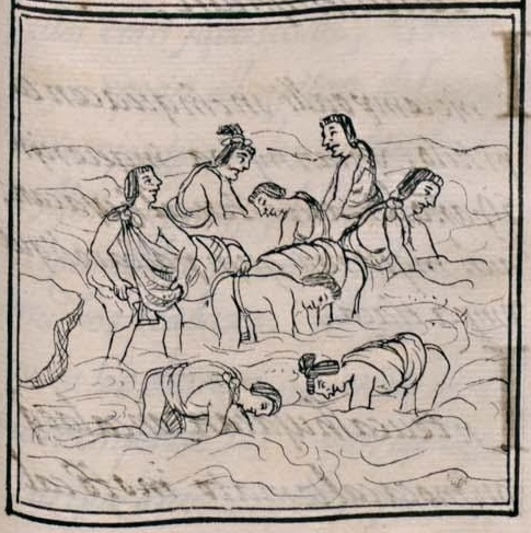 Florentino XII 45r