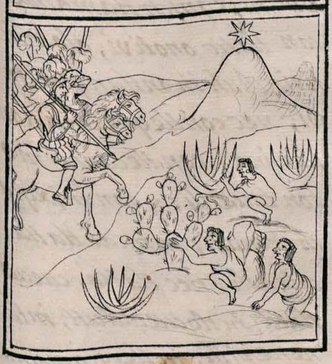 Florentino XII 48r, Citlaltepec