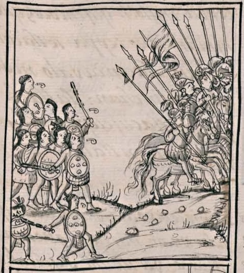 Florentino XII 51r