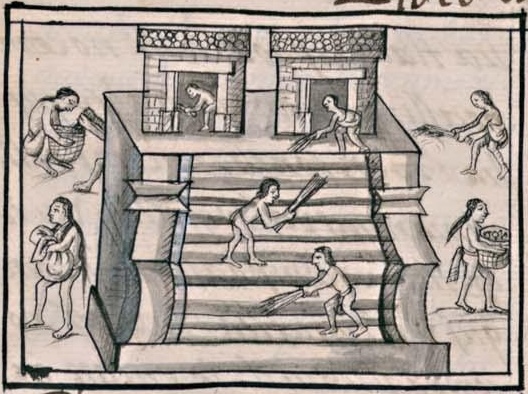 Florentino XII 51v