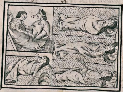 Florentino XII 53v