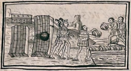Florentino XII 56v