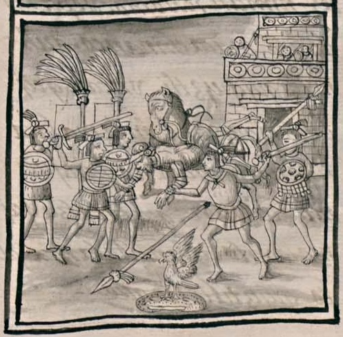 Florentino XII 58r, Tlatelolco, Cuauhtlatoque