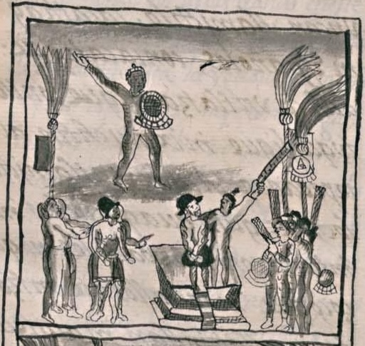 Florentino XII 67v