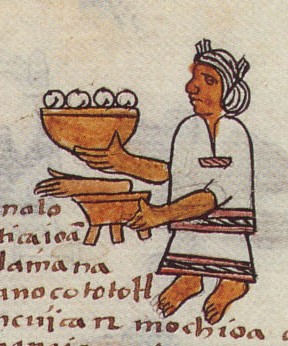 Matritense P I 254v, tlamanaliztli, mana, maca