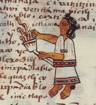 Matritense P I 254v, tlenamaquiliztli
