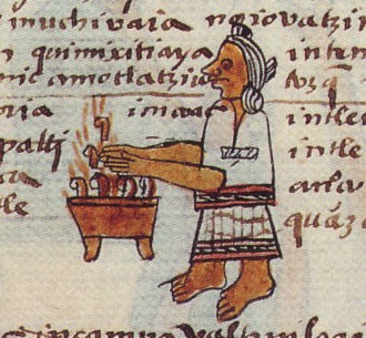 Matritense P I 254v, copaltemaliztli