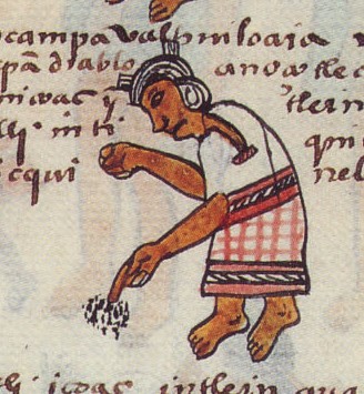 Matritense P I 254v, tlalcualiztli