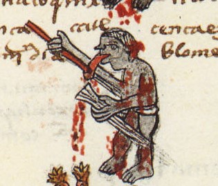 Matritense P I 255r, zacaquixtiliztli