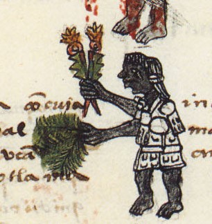 Matritense P I 255r, nehuitzmanaliztli