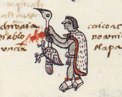 Matritense P I 255r, tlaquechcotonaliztli