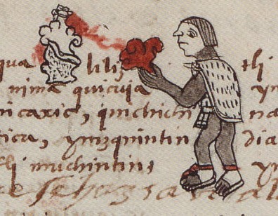 Matritense P I 255v, tlatlatlacualiliztli