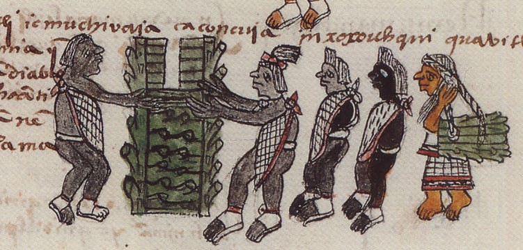Matritense P I 255v, teocuauhquetzaliztli