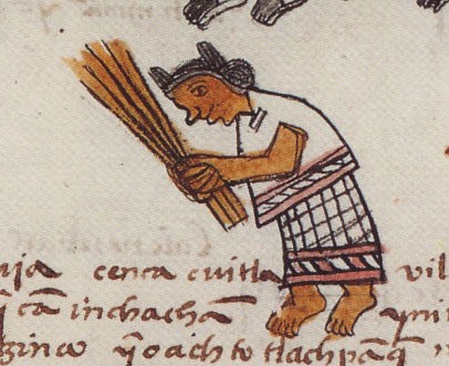 Matritense P I 255v, tlachpanaliztli