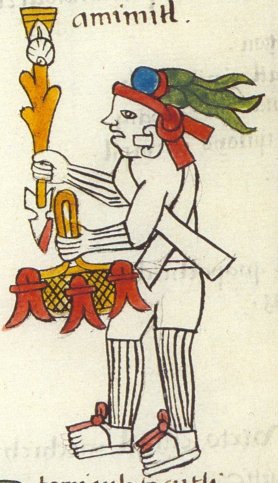 Matritense P I 264v, Amimitl