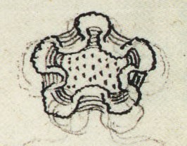Matritense P I 283r, mixtli