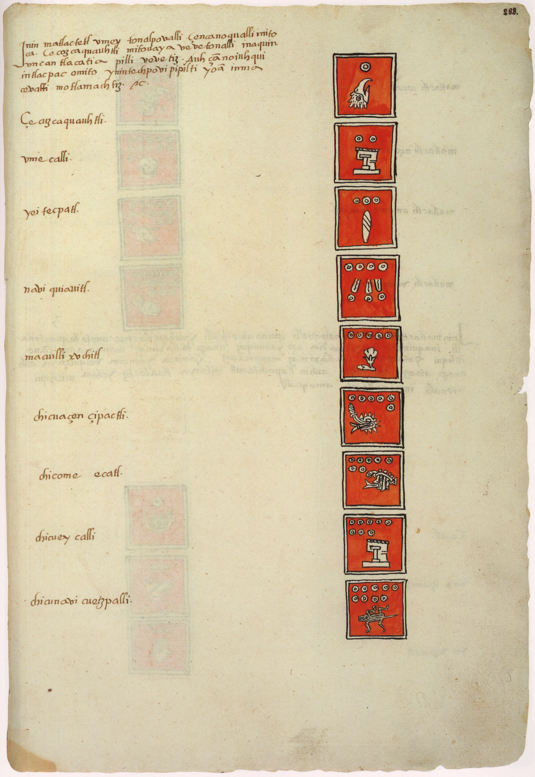 Matritense P I 288r, tonalpohualli