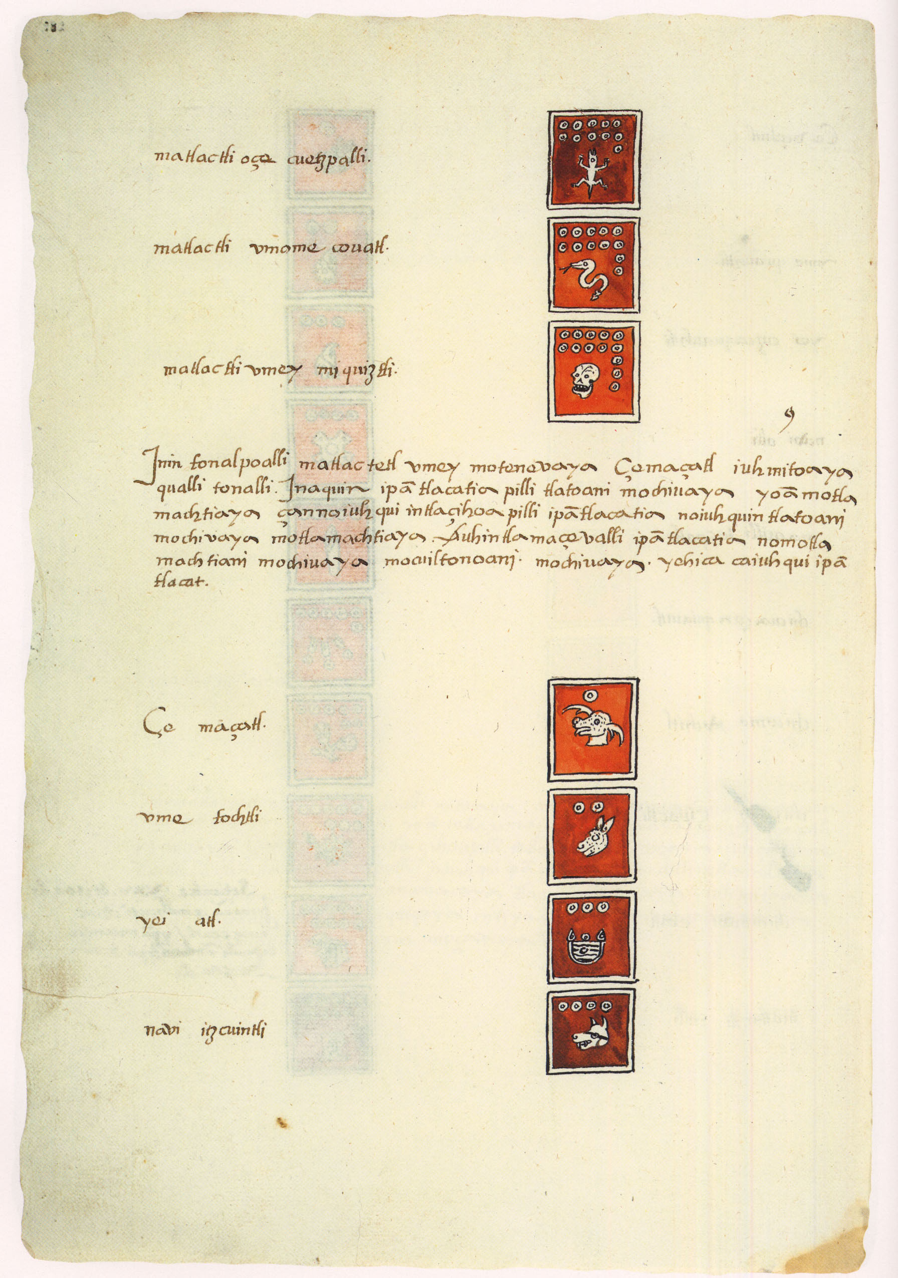 Matritense P I 289v, tonalpohualli