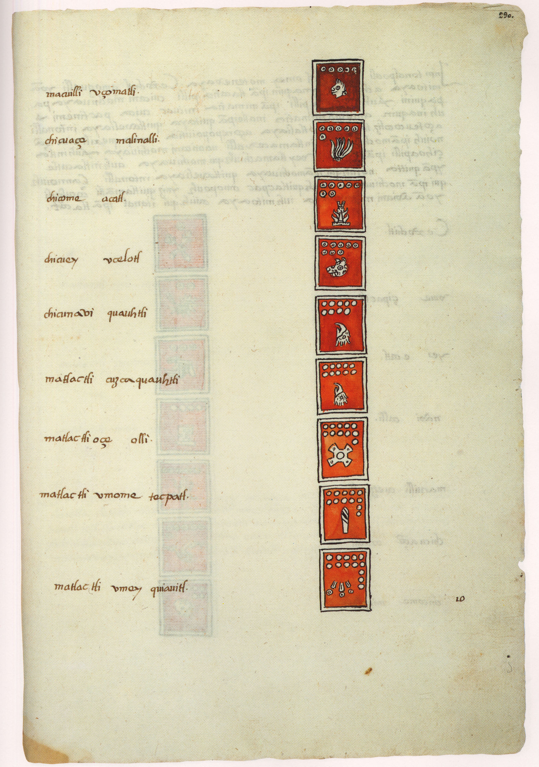 Matritense P I 290r, tonalpohualli