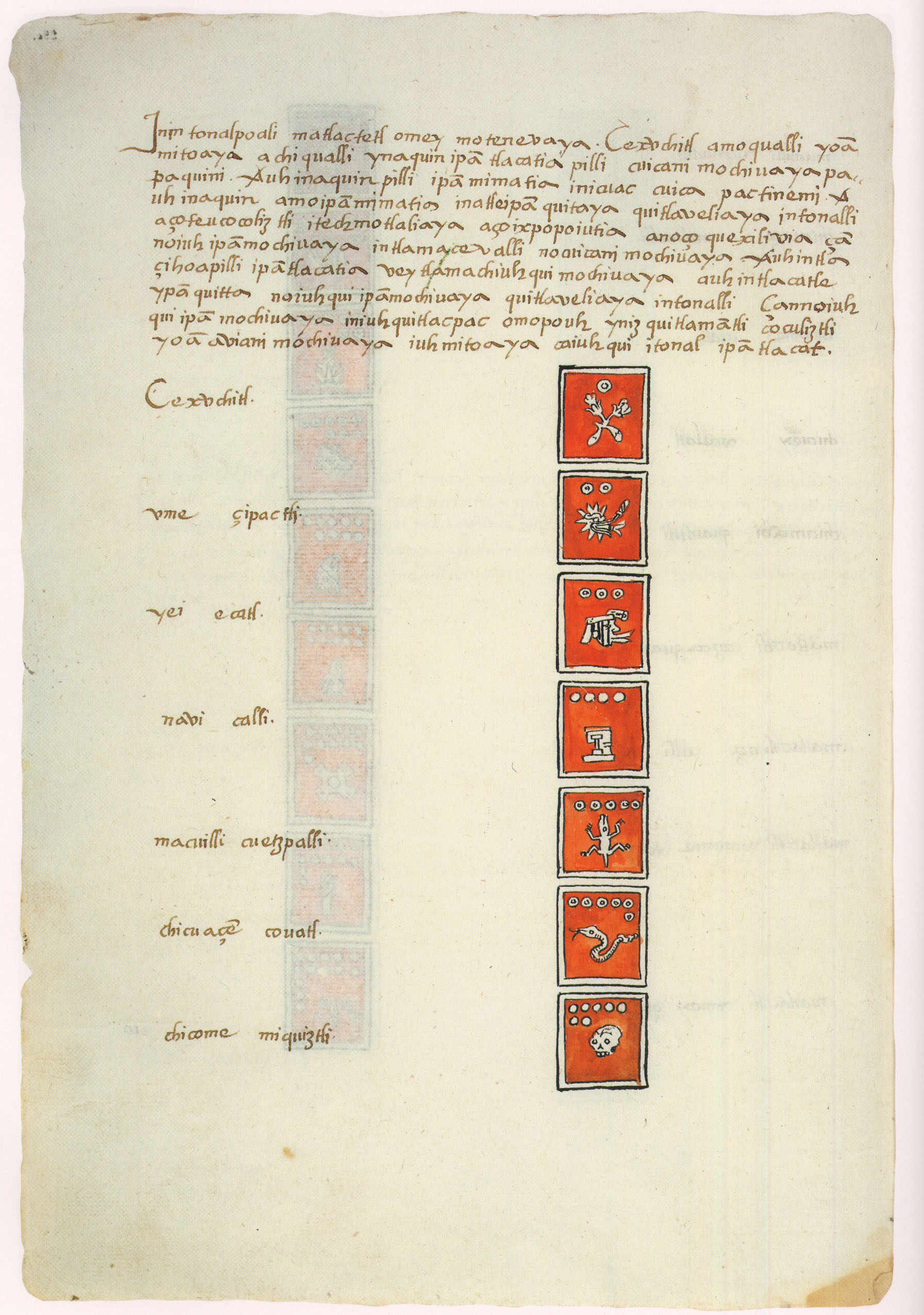 Matritense P I 290v, tonalpohualli
